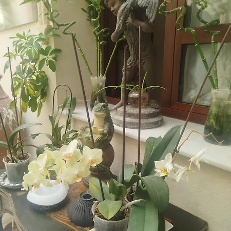 Homestay Andaluzas Ronda