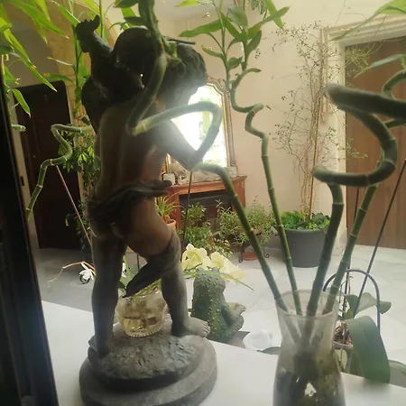 Andaluzas * روندا