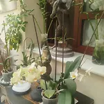 Проживание в семье Andaluzas Ронда