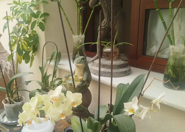 Séjour chez l'habitant Andaluzas Ronda